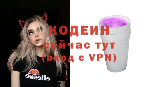 стафф Арсеньев