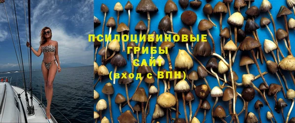 стафф Арсеньев