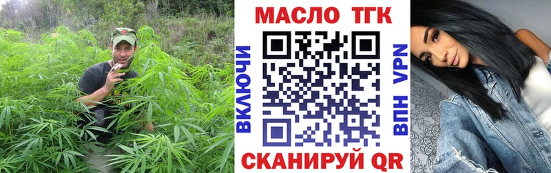 mega ТОР  Георгиевск  Дистиллят ТГК THC oil 
