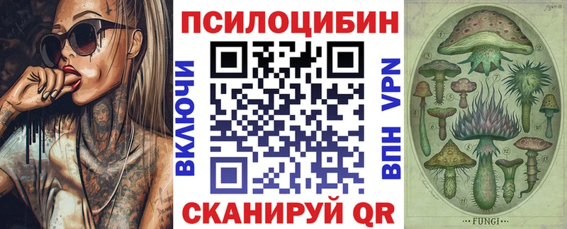 купить наркотики цена  Георгиевск  Псилоцибиновые грибы ЛСД 